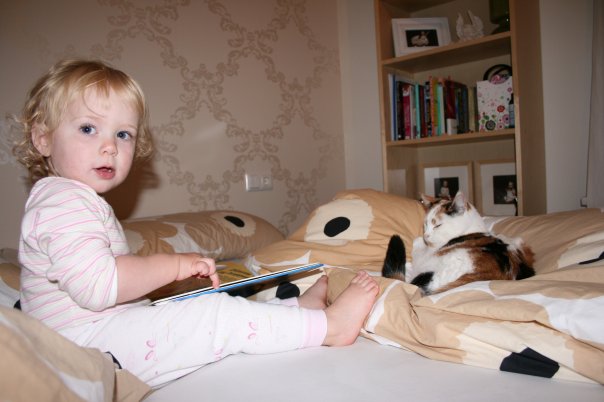 10400748_27245987873_4260_n