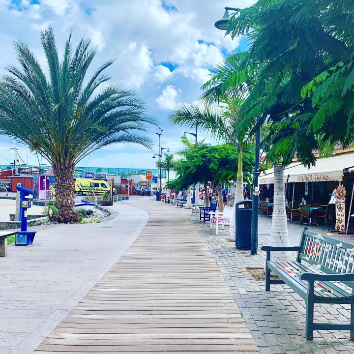 FF3E80FA-0CB0-4621-9656-F1F31D17937A