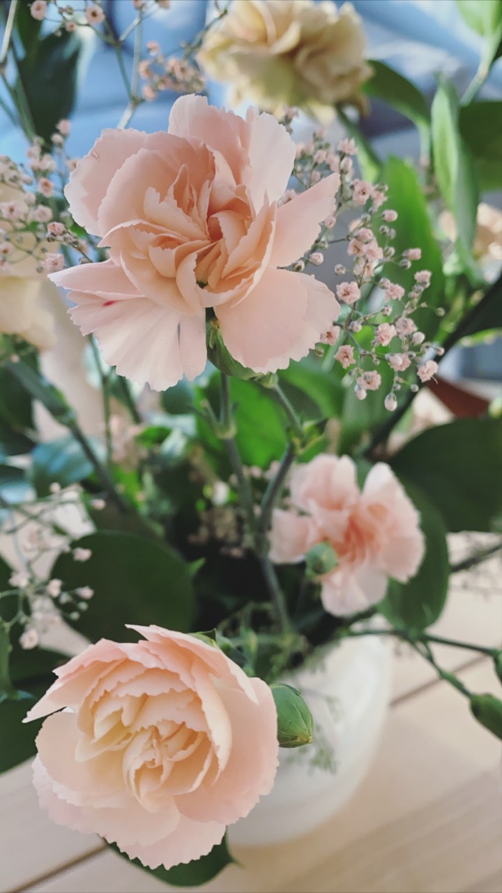 2C182ED9-D916-4676-9765-6BD1ABBA51B1