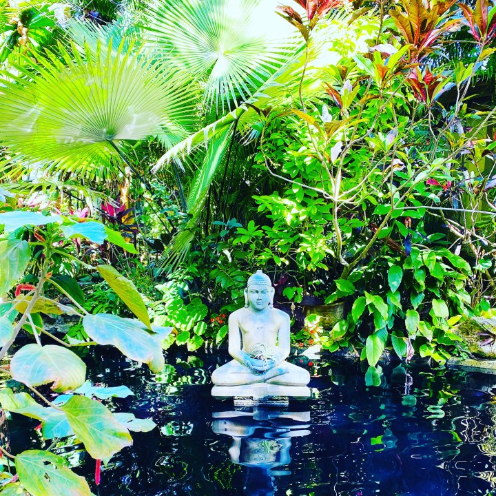 Draumagarður í Sarasota